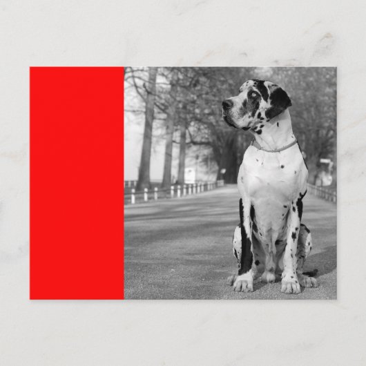 Doggenhaus Postkarte (Vorderseite)