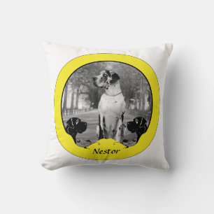Doggenkissen extra kissen