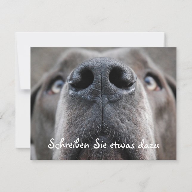 Doggennase (Vorderseite)