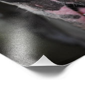 Doggennase Fotodruck (Ecke)