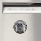 Doggennase, Guten Riechermuss man auch er.. Magnet (In Situ (Geschirrspüler))