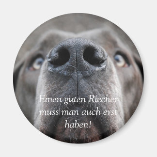 Doggennase, Guten Riechermuss man auch er.. Magnet