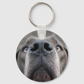 Doggennase Schlüsselanhänger