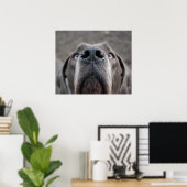 Doggenposter "Nase" Poster (Heimbüro)