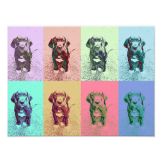 Doggenwelpe Fotodruck