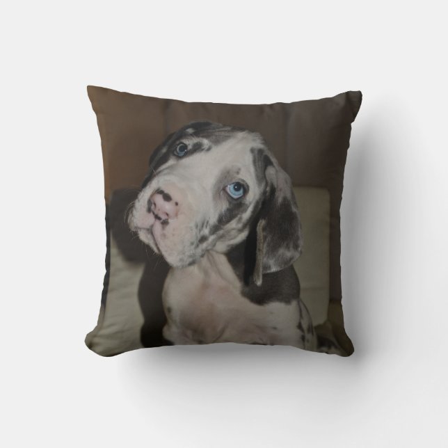 Doggenwelpe Kissen (Vorderseite)