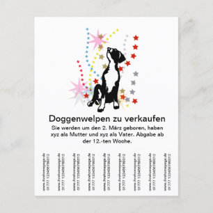 Doggenwelpen zu verkaufen? flyer