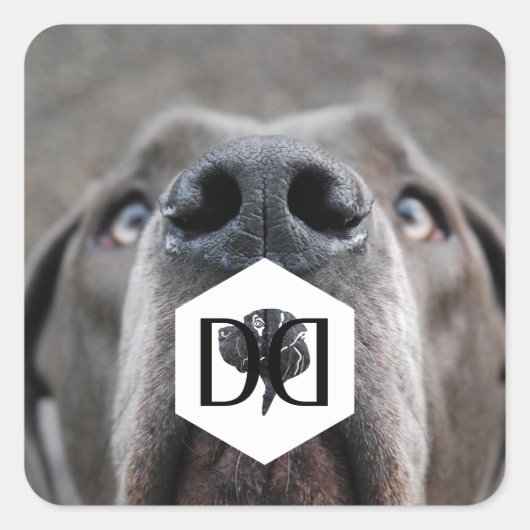 Doggenzucht Aufkleber (Vorderseite)