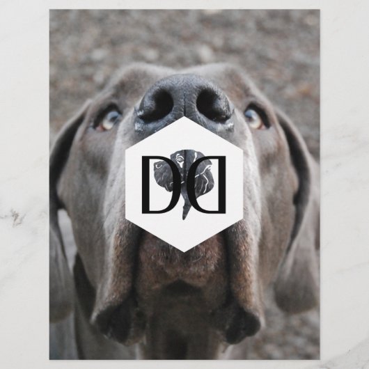 Doggenzucht Inventar Flyer (Vorne)