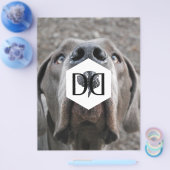 Doggenzucht Inventar Flyer (Einzeln)