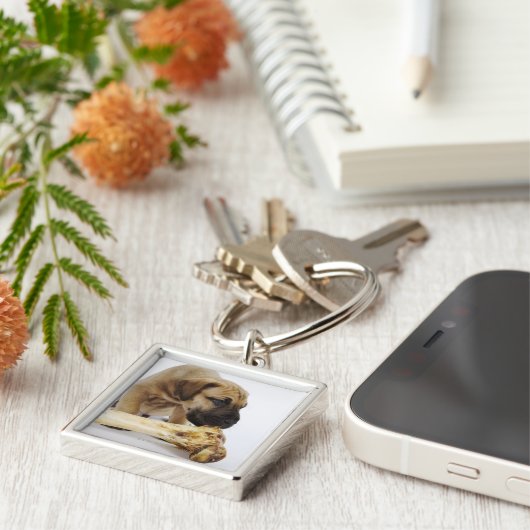 Doggewelpe mit dem Knochen im Studio Schlüsselanhänger (Seite)