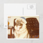 Doggie_Cap Postkarte (Vorne/Hinten)