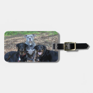 Doggie Family Picture Luggage Tag Gepäckanhänger