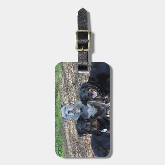 Doggie Family Picture Luggage Tag Gepäckanhänger (Vorderseite vertikal)