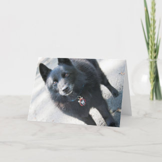 Doggie Grußkarte Karte
