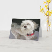 Doggie Grußkarte Karte (Gelbe Blume)