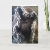 DOGGIE IN BLANKETS SAGT "FLÜCHTIGE BLICK-A-BOO" MI KARTE (Vorderseite)