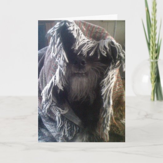 DOGGIE IN BLANKETS SAGT "HELLO" KARTE (Vorderseite)