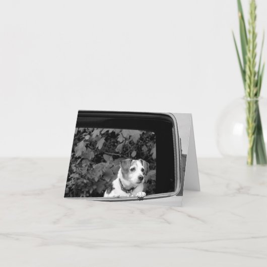 Doggie in der Window Note Card Dankeskarte (Vorderseite)