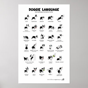 DOGGIE LANGUAGE Grosses Poster