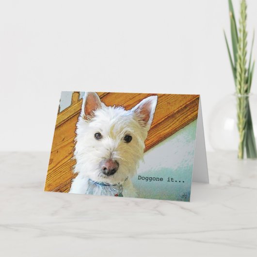 Doggone it, glücklich Geburtstag, Westie guckt dic Karte (Vorderseite)