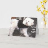 DOGGONE, SIND SIE 40? KARTE (Gelbe Blume)