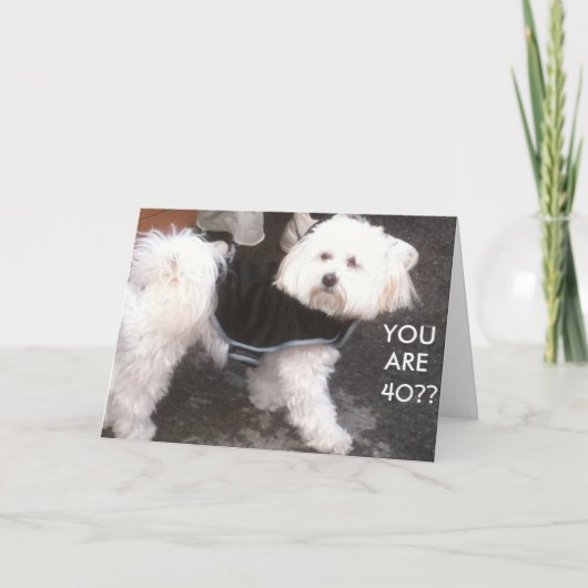 DOGGONE, SIND SIE 40? KARTE (Vorderseite)