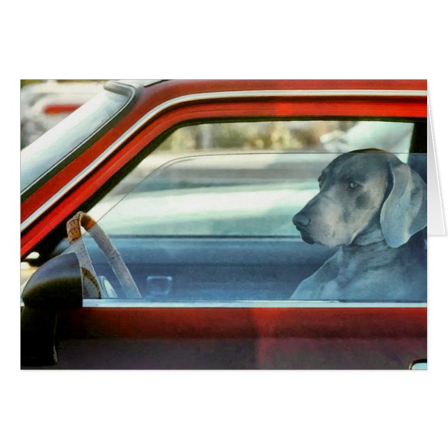 Doggy Driver (Vorderseite (Horizontal))