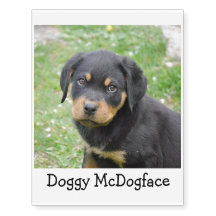 Doggy McDogface Rottweiler Puppy