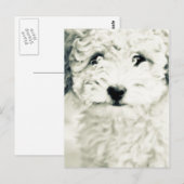 Doggy Postkarte (Vorne/Hinten)