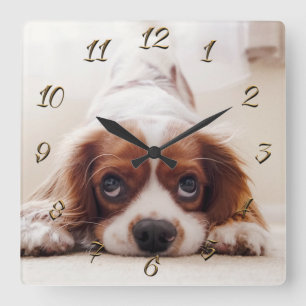 Doggy Quadratische Wanduhr