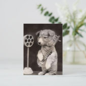 Doggy Radio Star Postkarte (Stehend Vorderseite)