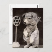 Doggy Radio Star Postkarte (Vorne/Hinten)