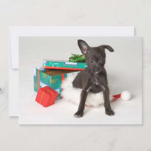 Doggy Weihnachtsgeschenk Feiertagskarte (Vorderseite)