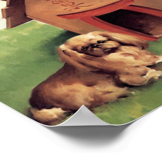 Doghouse Button Up Poster (Ecke)