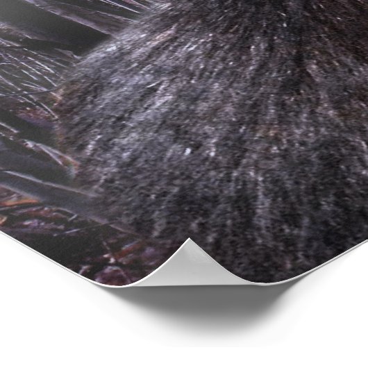 Dogman Poster (Ecke)