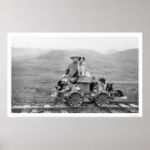 Dogmobile Reise Alaska 1912 Poster (Vorne)