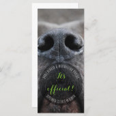 Dognose-Rackkarten Programm (Vorne/Hinten)