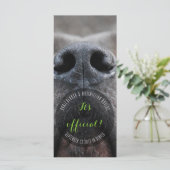 Dognose-Rackkarten Programm (Stehend Vorderseite)