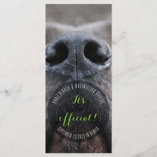 Dognose-Rackkarten Programm (Vorderseite)