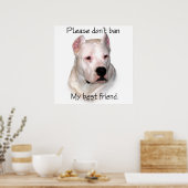 Dogo Argentino Anti-BSL Poster (Küche)