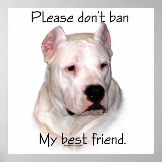 Dogo Argentino Anti-BSL Poster (Vorne)