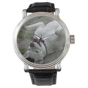 Dogo Argentino Armbanduhr