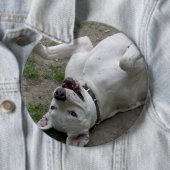 Dogo Argentino Button (Beispiel)