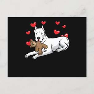 Dogo Argentino Dog With Stuffed Animal And Hearts Postkarte