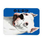 Dogo Argentino Farbblock Magnet (Horizontal)