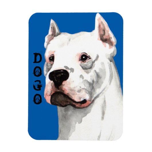 Dogo Argentino Farbblock Magnet (Vertikal)