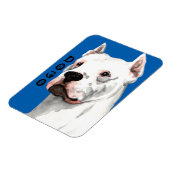 Dogo Argentino Farbblock Magnet (Linke Seite)