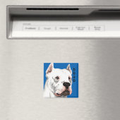 Dogo Argentino Farbblock Magnet (In Situ (Geschirrspüler))