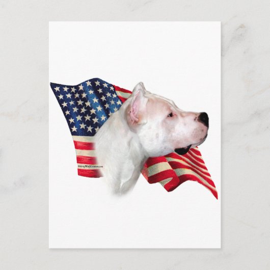 Dogo Argentino Flag Postkarte (Vorderseite)